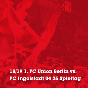 18/19 Ingolstadt-2