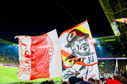 BVBFCU-ws02-12