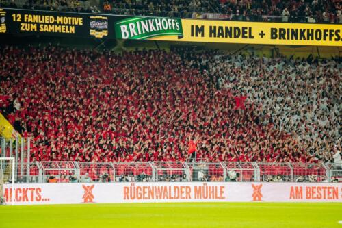 BVBFCU-ws02-4