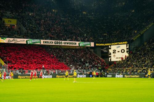 BVBFCU-ws02-5