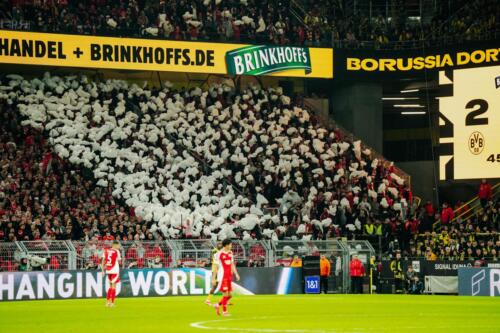 BVBFCU-ws02-6