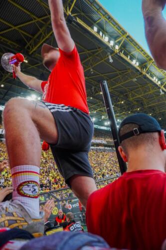 BVBFCU-ws02-7 (1)