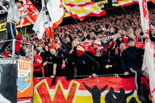 BVBFCU-ws02-8