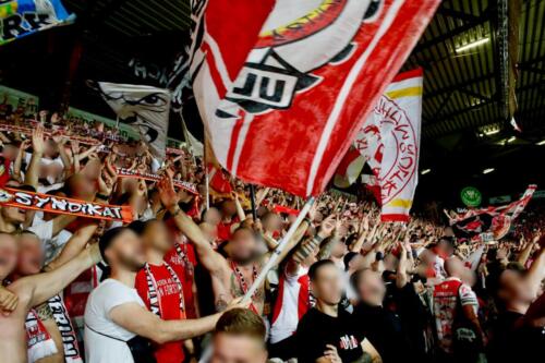 FCUFCSP-ws02--2
