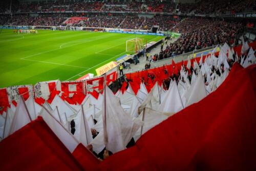SCFFCU-ws02-1 (1)
