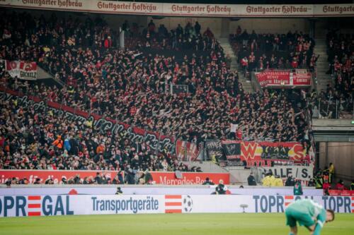 VFBFCU-ws02-1