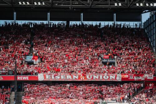 fcfcu-4